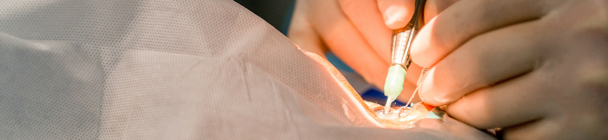 Retina Specialists of Alabama Retina Fellowship Program